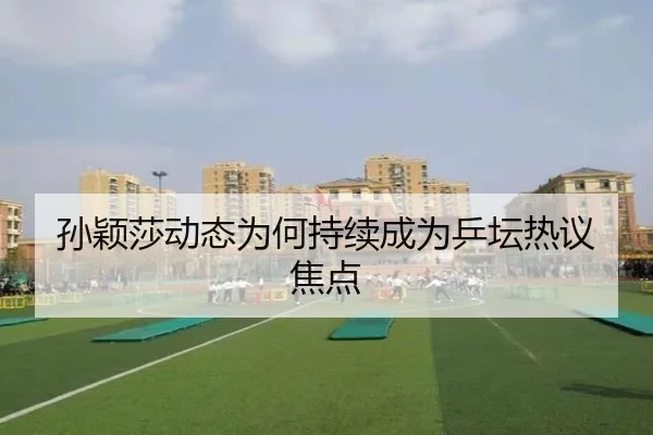 孙颖莎动态为何持续成为乒坛热议焦点