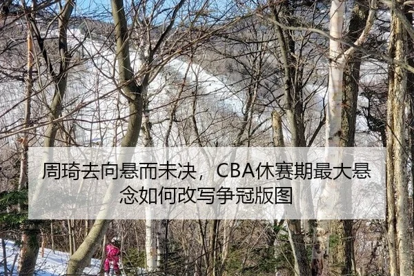 周琦去向悬而未决，CBA休赛期最大悬念如何改写争冠版图